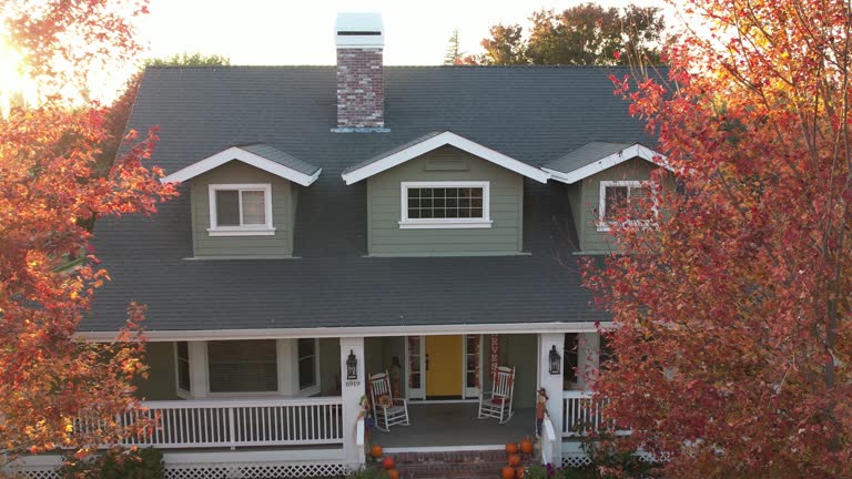 Best Asphalt Shingles Roofing  in Benavides, TX